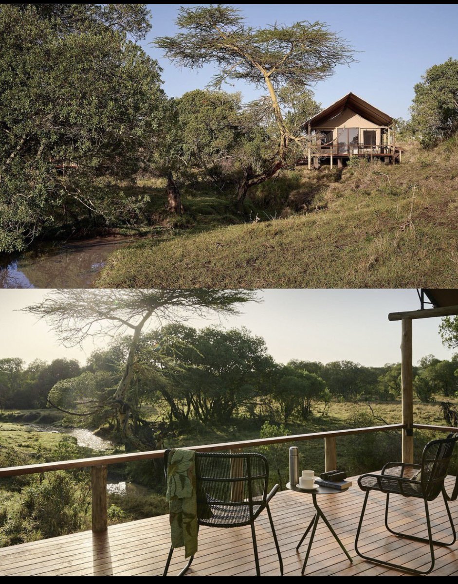 Nestled amongst fever trees in the shadow of Mount Kenya is Sanctuary Tambarare, a quintessential destination for nature enthusiasts seeking a luxurious and eco-friendly safari experience.🤩✨🌿

#ongeriexpeditions #experiencelux #luxurysafaris #safaris #sanctuaryretreats
