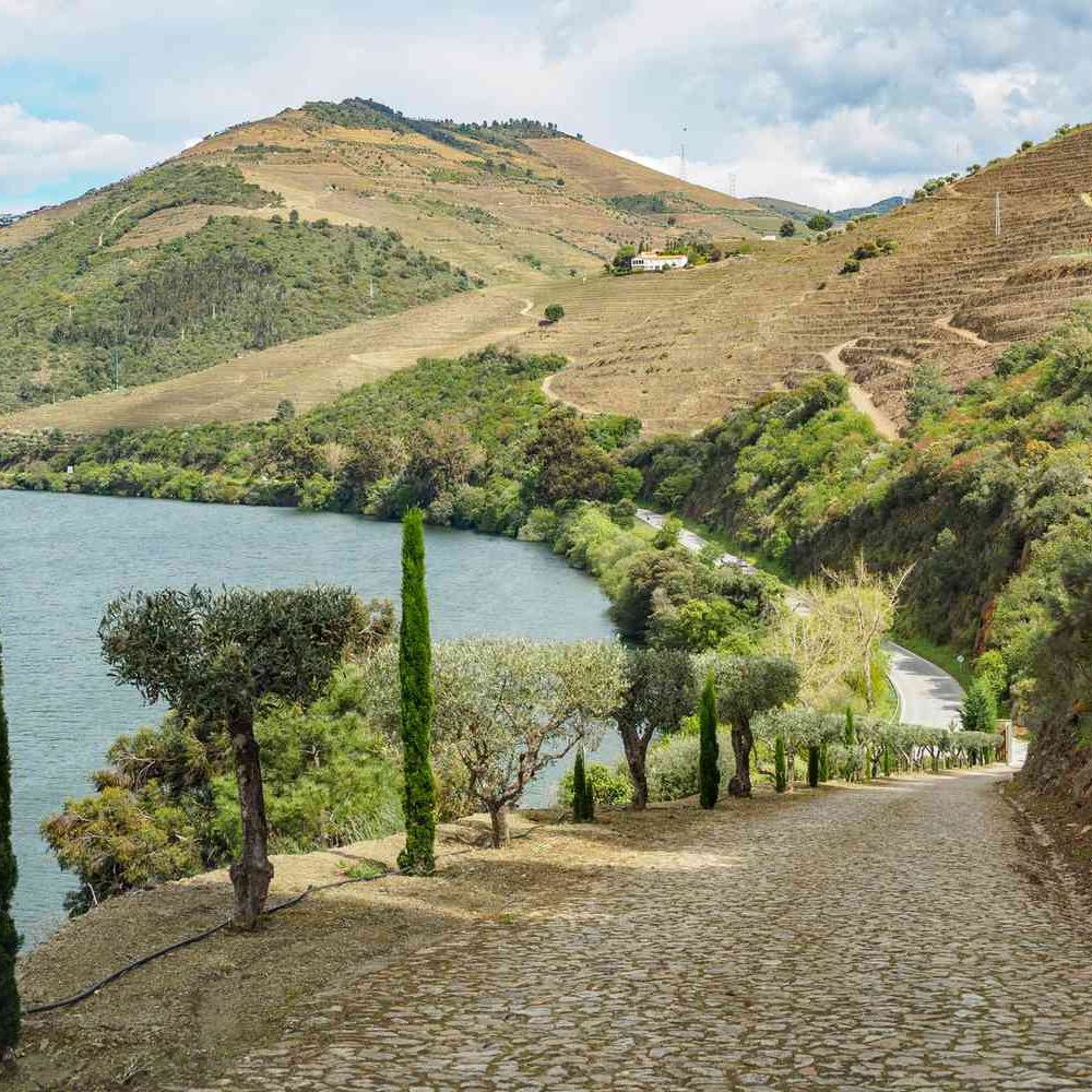 This Stunning Region in Portugal Is a Wine Lover's Dream — With Historic Train Rides, Scenic Boat Tours, and Luxury Hotels travelandleisure.com/douro-valley-p…