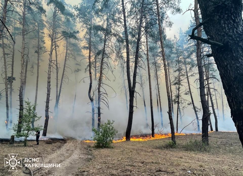 На Харківщині триває гасіння 15 лісових пожеж. Вогнем охоплено понад 3 тис. га лісів. Більшість пожеж спричинили окупанти. Наразі локалізовано 10 пожеж площею біля 170 га. Рятувальники та лісівники працюють, перебуваючи під постійними ворожими атаками.