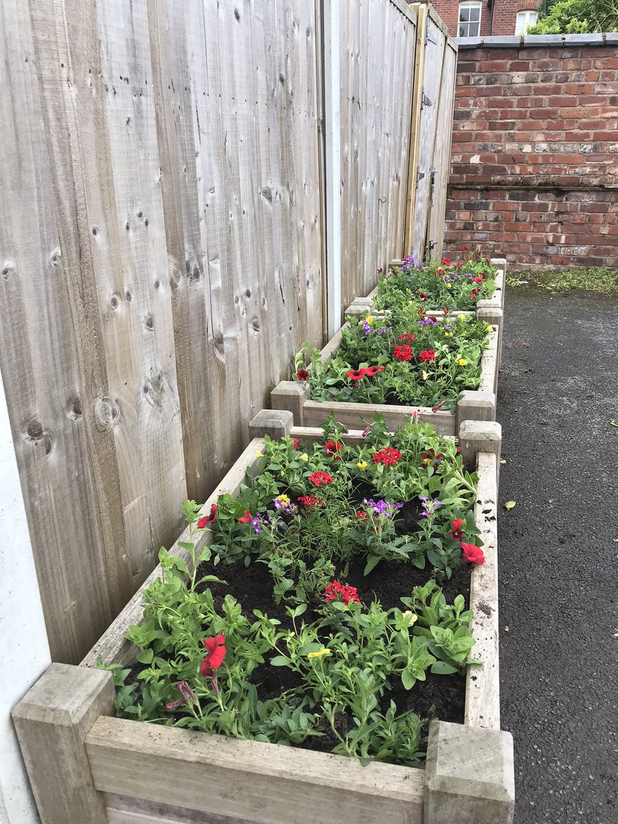 Knutsford Market bin store needs a bit of love… ❤️🌸🌺🌼 only in #knutsford 😂