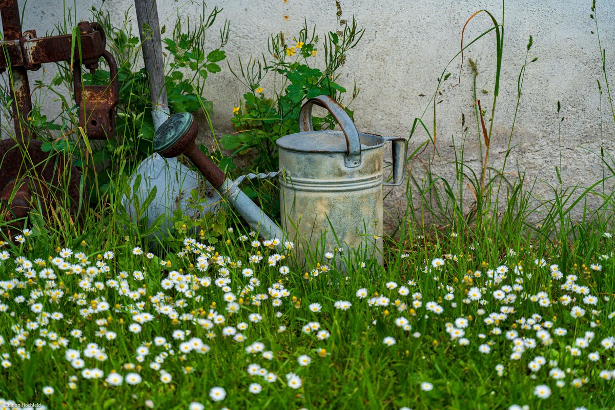 die Bauerngarten-Routen durch Thurgau sind eine wahre Freude ... #bodensee #garten #jardin mehr Bodensee: tinyurl.com/m9xaya4r