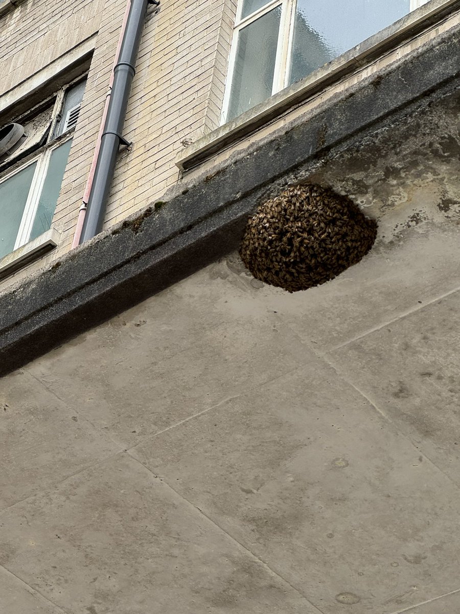 Thesixbees tweet media