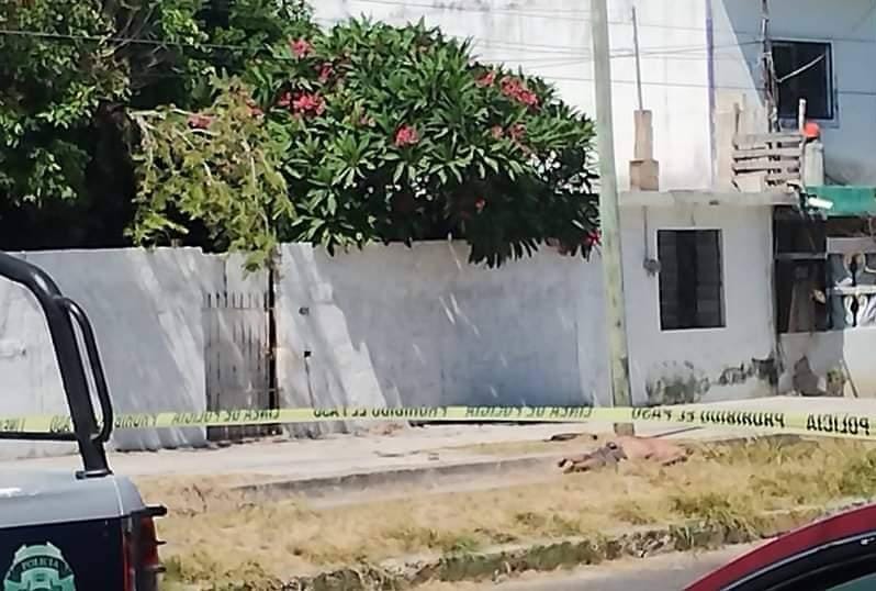 #Violencia
Intento de ‘levantón’ termina en homicidio, en la colonia Adolfo López Mateos de Chetumal
agendaqr.com/intento-de-lev…
#AgendaQR #QuintanaRoo #PlayaDelCarmen #PuertoMorelos #Cozumel #Cancún #Tulum #IslaMujeres #Chetumal #Bacalar #Holbox #follow