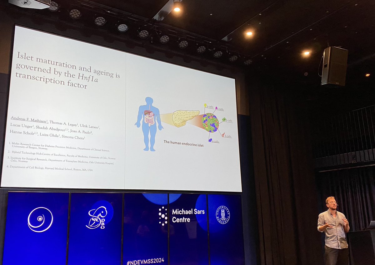 Andreas is presenting his main study (defending soon, in June) about pancreatic #islet aging landscape   #NDEVMSS2024 @medofak_uib @UiB @chera_lab