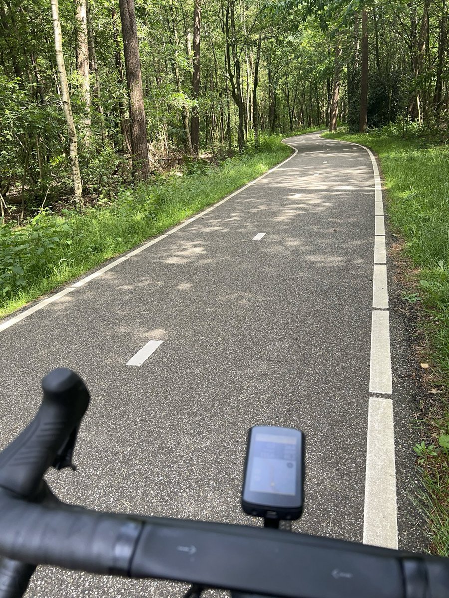 Niederlande. Ein Radweg im Wald. Perfekter Belag. Gefegt. Im Wald. Immer wieder der Wahnsinn hier.