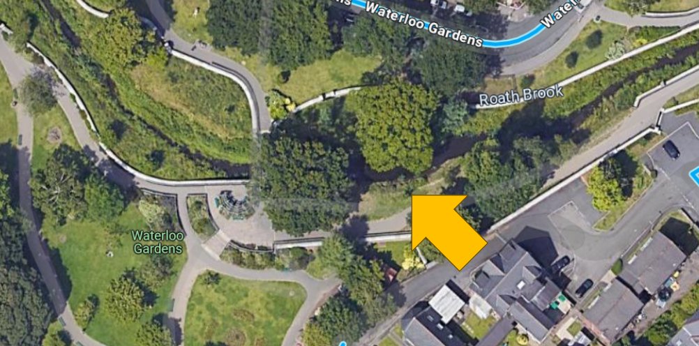 This lovely little tree in Waterloo Gardens needs your help please <a href="/cardiffcouncil/">Cardiff Council</a>  #quickquery
It's only young &amp; doing so well until its support stake disappeared, we found it like this today (main path nr Warden's Hut, see pic). Its trunk is still intact, you can save it🙏