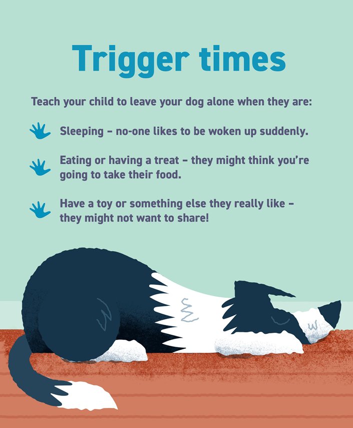 As a person there will be times you don’t want company, dogs are the same. When they’re eating or sleeping they can want their own space. Teach children to be mindful around all dogs. #ChildSafetyWeek #safetysorted <a href="/CAPTcharity/">Child Accident Prevention Trust - CAPT Charity</a> <a href="/childsafetyweek/">Child Safety Week</a> <a href="/RHCGlasgow/">Royal Hospital for Children, Glasgow</a>
