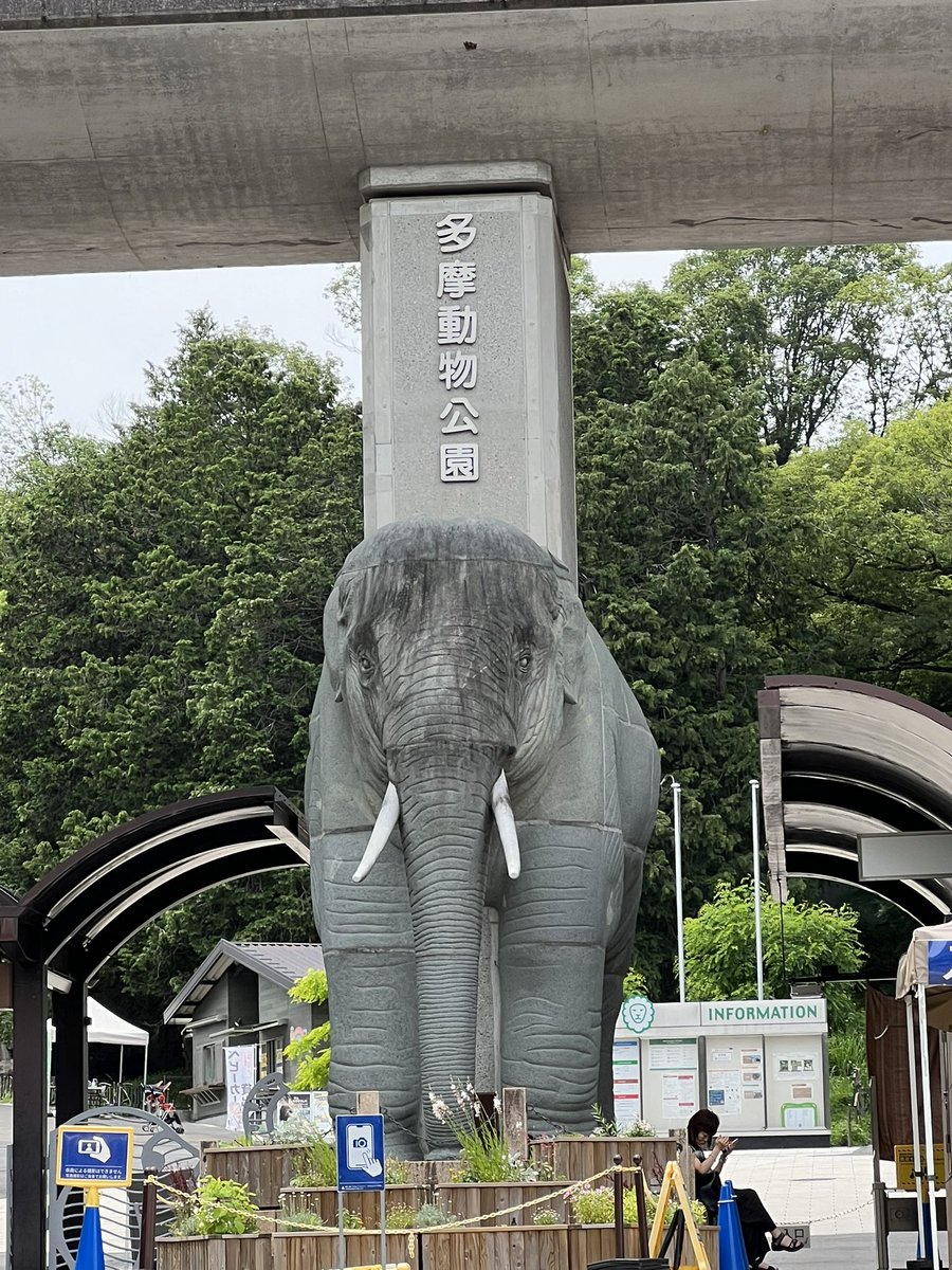 Akkeyman1018's tweet photo. 多摩動物公園に
行って来ました！ https://t.co/wBok5CkJ6Q