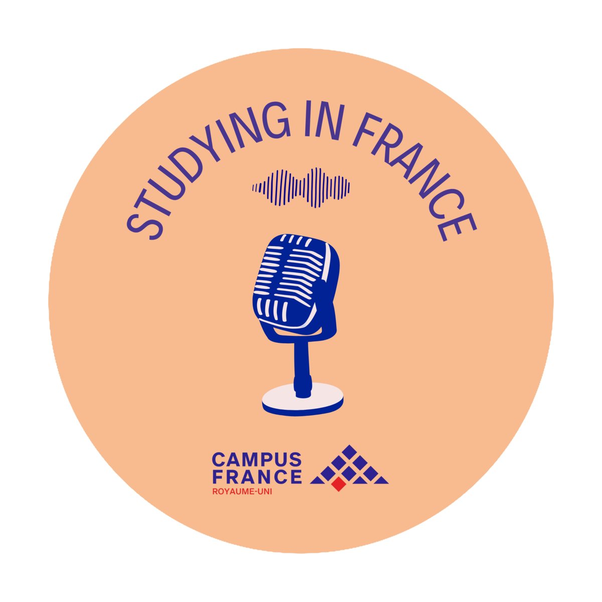 🚨 To conclude our #FranceAlumni UK 2024 celebrations, discover our new podcast episode on why learning French is an asset and what are the trends of French-speaking talents recruitment on the job market today. Listen here 👉 lnkd.in/gt375JrC !