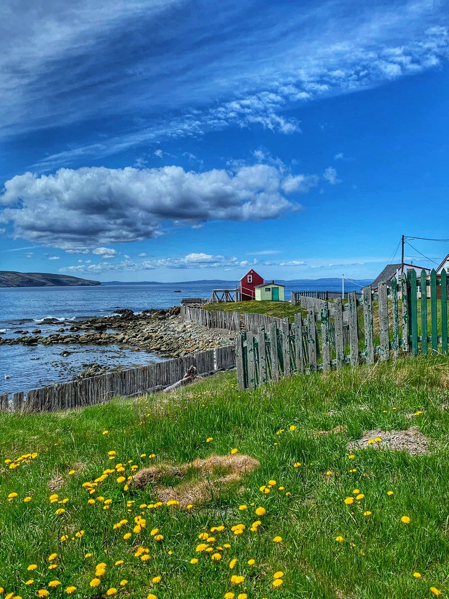 Good morning. Hope you all have a great day. 📸: Bonavista, NL