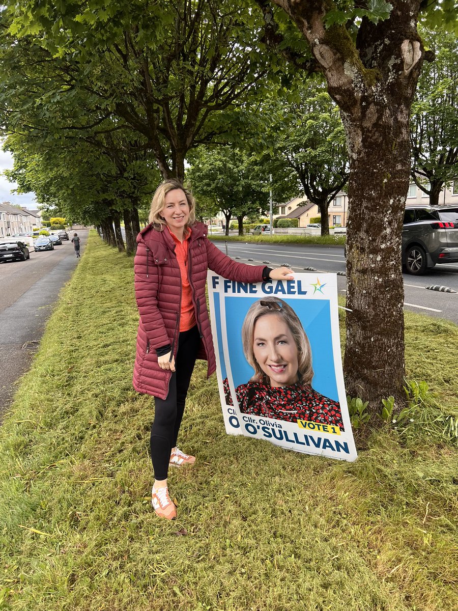 Six of my posters ripped down at 3am by two young men (I have seen images of it), along with several other candidates. The Council was collecting them when I was tidying up mine so the area is ok again. Despicable behaviour of any candidate associated with this. We shall prevail!