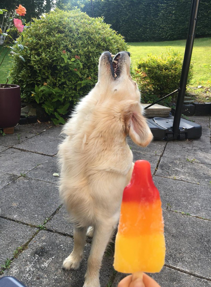 All they need to do is produce a rocket lolly and I go straight into my Elton John Rocket Man routine