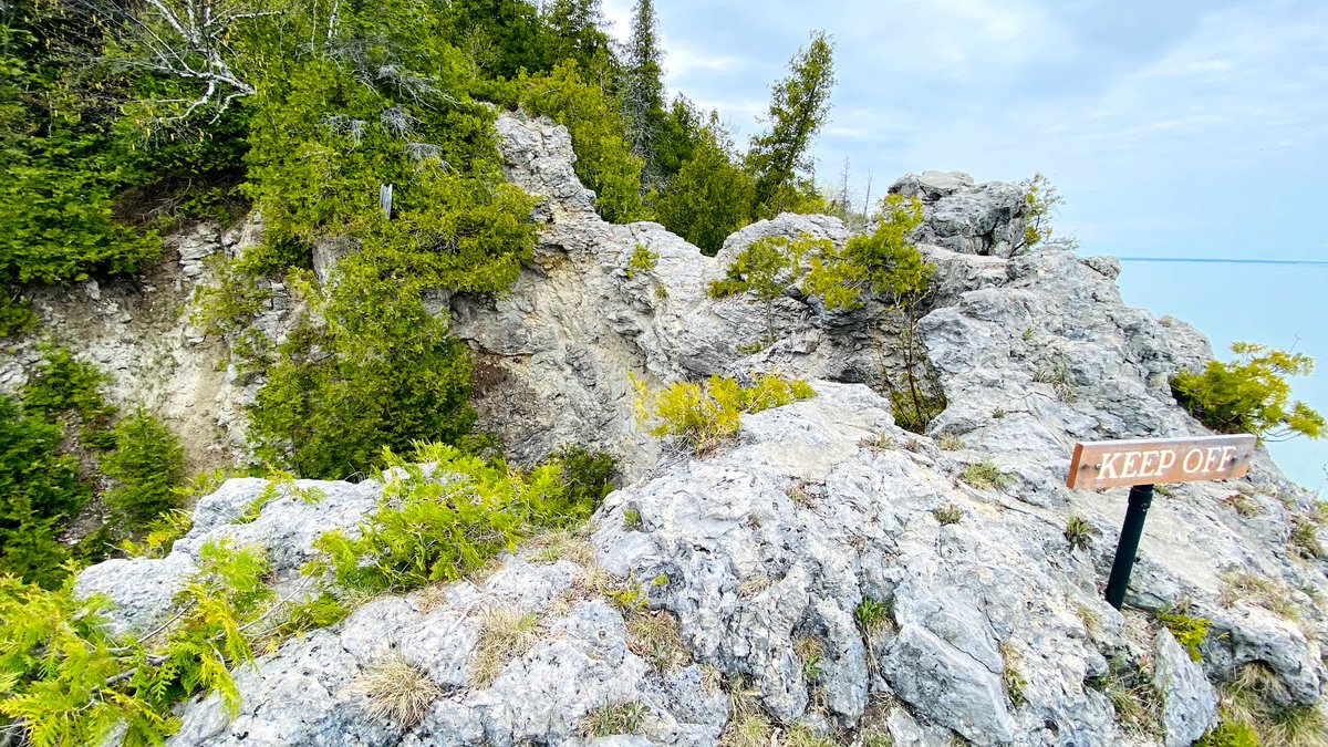 New town every hour tweet media