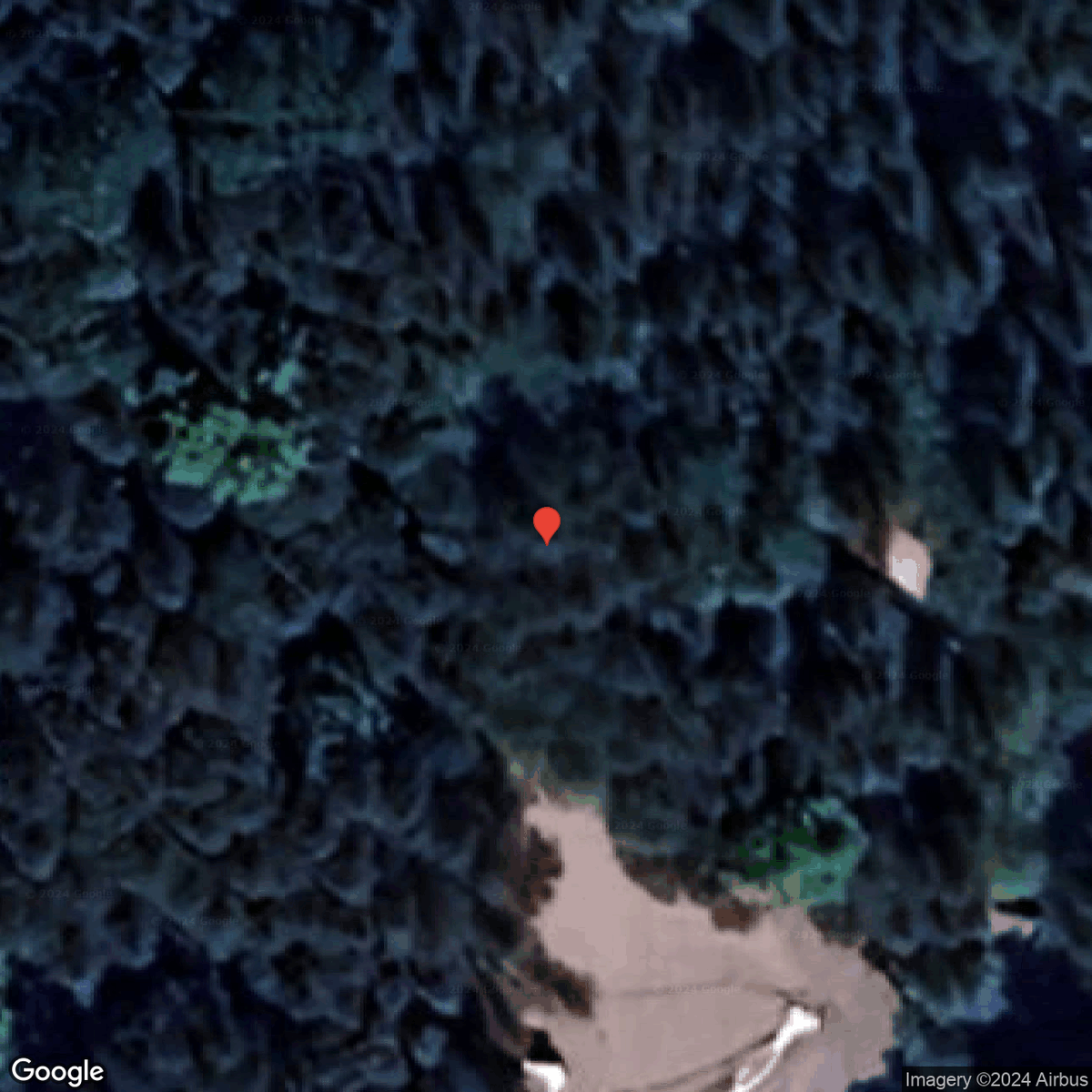 New town every hour tweet media