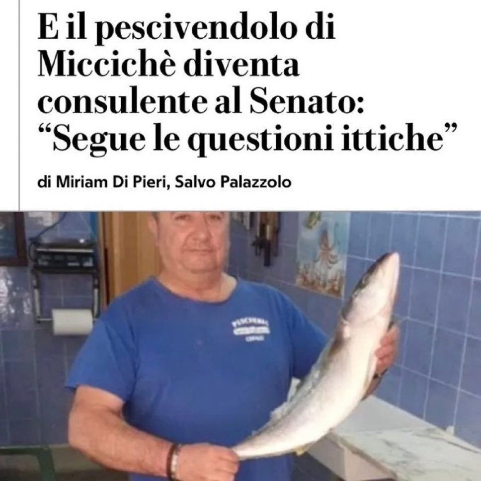 Sulla saracinesca della pescheria ha lasciato un cartello con su scritto 'TONNO SUBITO'

#Miccichè #Pescivendolo #Senato