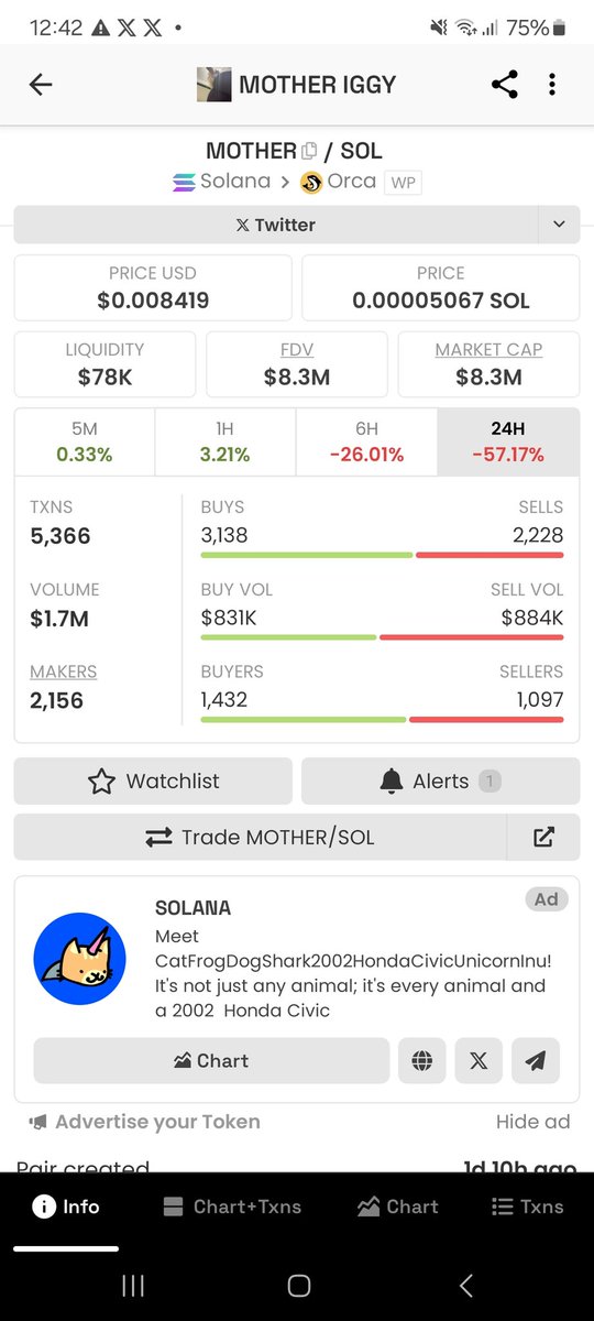 $MOTHER will sent higher 📈