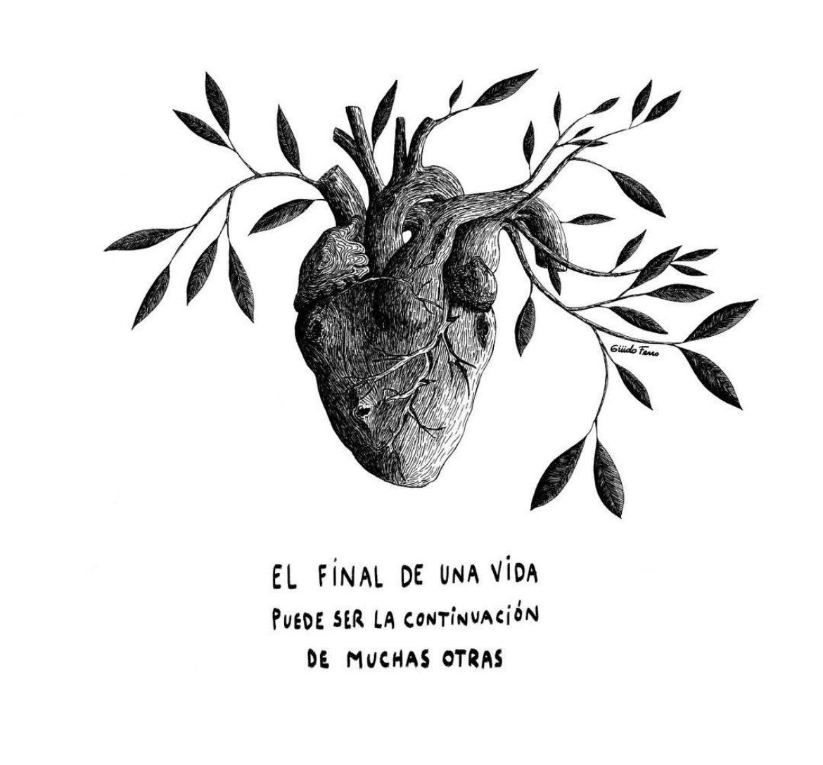 #DíaNacionalDeLaDonaciónDeÓrganos 🫁