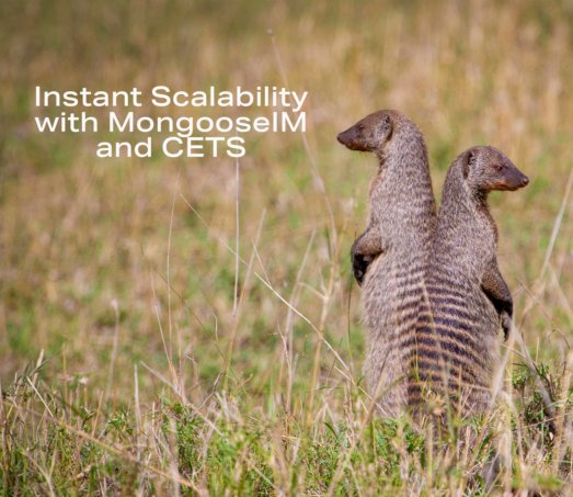 ErlangSolutions's tweet image. In his latest blog post, Paweł Chrząszcz explores the enhanced scalability features of MongooseIM 6.2.1. 💡

Check out his insights, here ➡ erlang-solutions.com/blog/instant-s…

#ErlangSolutions #MongooseIM #TechBlog
