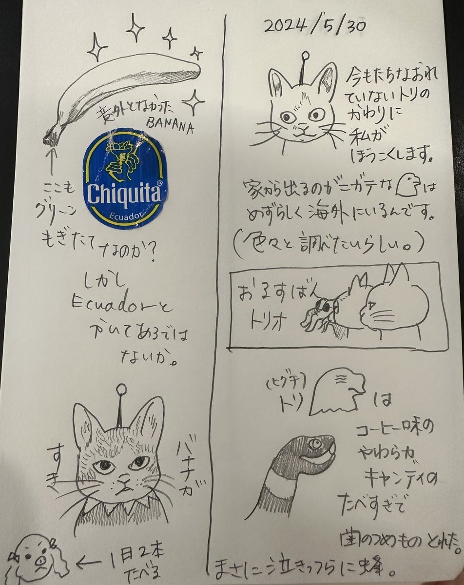 #ボリス絵日記
🍌と🍬と🦷

2024/5/30 