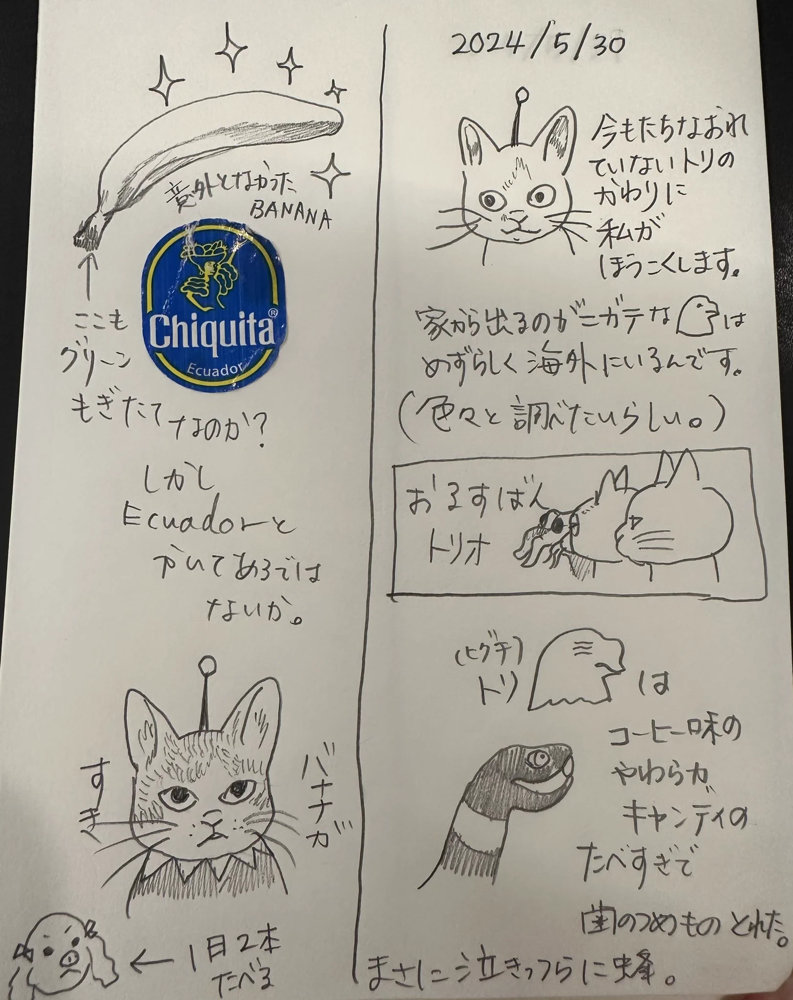 Yuko higuchi ヒグチユウコ on X: 