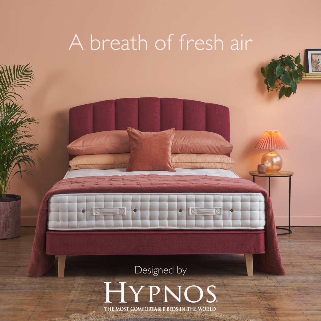 Don't miss the Hypnos summer sale.... A luxury King size bed for the price of a double!

Browse online today: bit.ly/3CkowlM