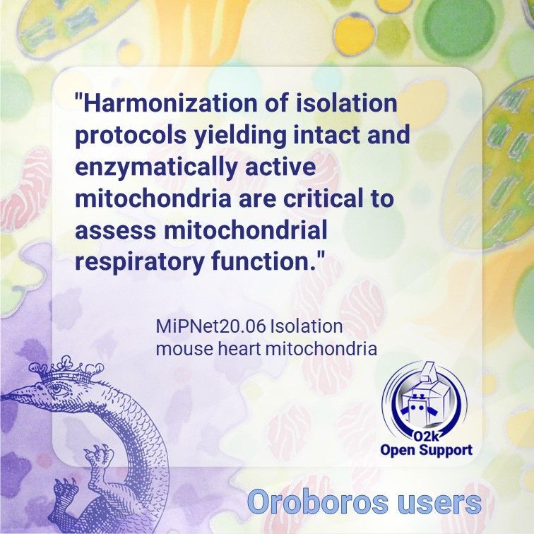 OroborosI's tweet image. For reliable data on mitochondrial function, follow a standardized protocol for isolating mitochondria.
Here is one for mouse heart: buff.ly/456bAjh

#O2kOpenSupport #HighResolutionRespirometry