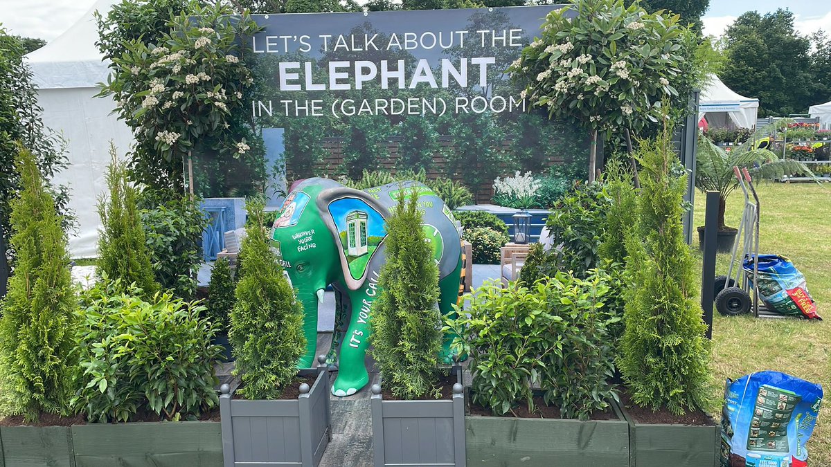 If you're at Bloom this weekend, check out my Elephant I did in conjunction Charlie Bird and the Samaritans & signed by our President @MichaelDHiggins @PresidentIRL #Bloom @DubSamaritans @BordBiaBloom @ElephantIn2022 #CharlieBird
