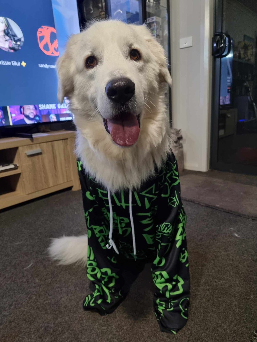 <a href="/billieeilish/">billie eilish</a> my doggo is your biggest fan 💚🖤