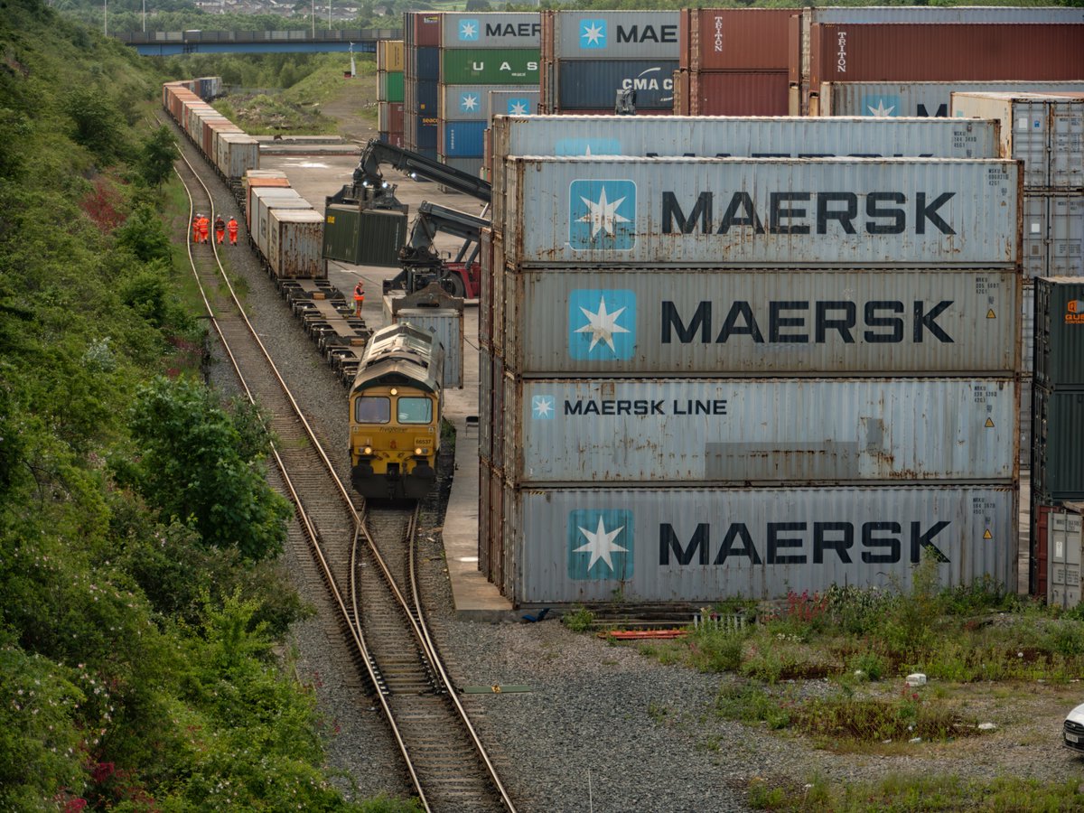 The Great Wall from China. Freightliner 66537 4E82 0036 Felixstowe North to Tinsley FLT, Tinsley 29/05/24