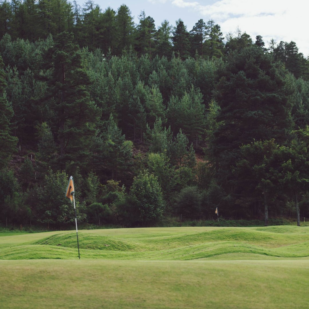Moray Speyside Golf 🏴󠁧󠁢󠁳󠁣󠁴󠁿 tweet media