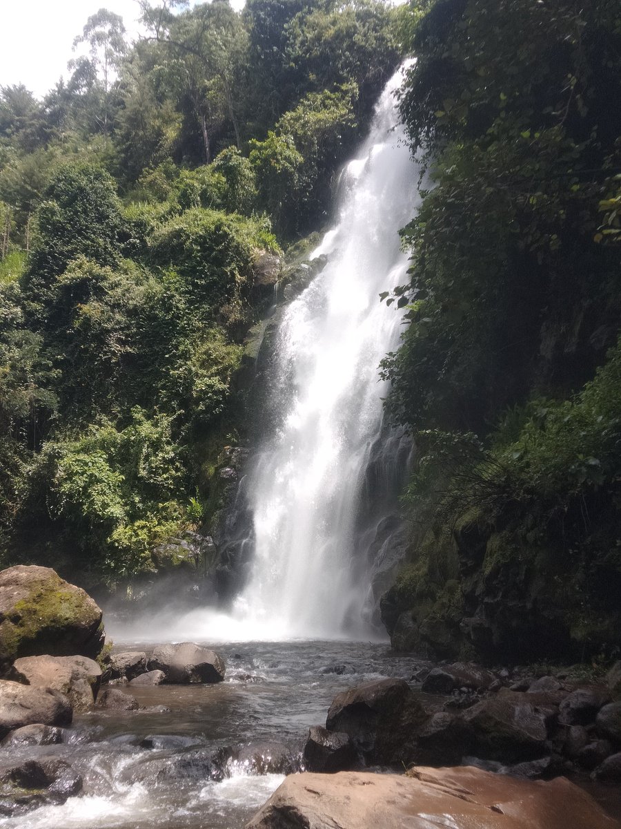 Tanjaroadvent's tweet image. 