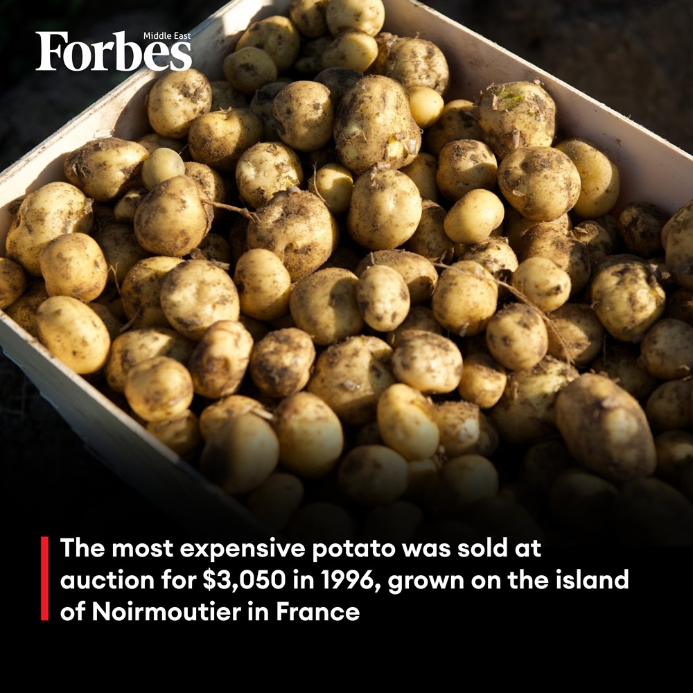The most expensive potato was sold at auction for $3,050 in 1996