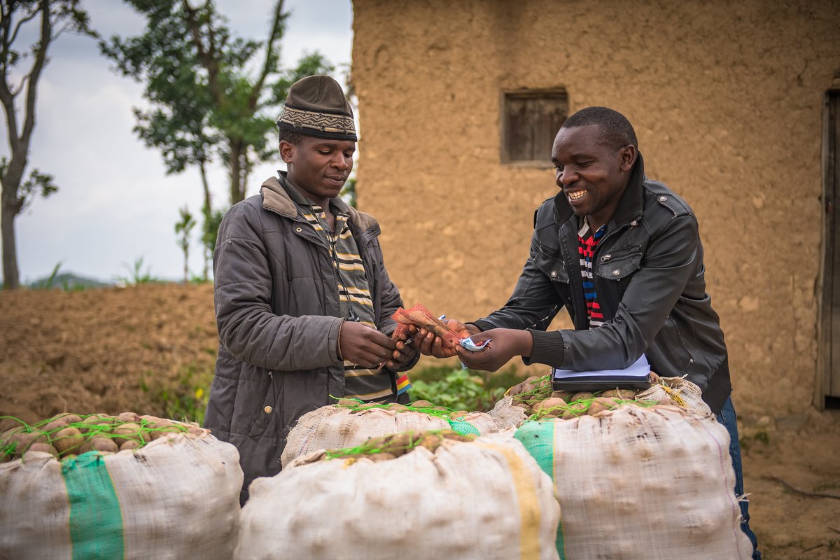 #Potatoes are not just a staple food but offer needed nutrients for the human diet. We're inspiring action to ↗️ production, value addition and market availability for orange-fleshed sweet potatoes & Irish potatoes, key elements to improve food security #InternationalDayofPotato