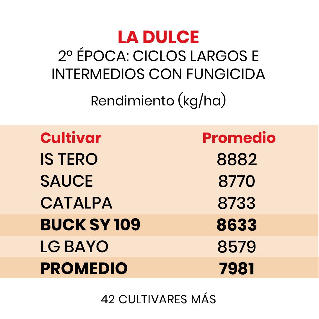 ¡Descubrí los resultados de los ensayos comparativos de rendimiento en la Red de INASE (Ret) en La Dulce, Necochea ! 💪🌱Nuestros materiales han demostrado un desempeño excepcional en esta localidad. 🌾📊 #BuckSemillas #RendimientoExcepcional #LaDulce #InnovaciónAgropecuaria;