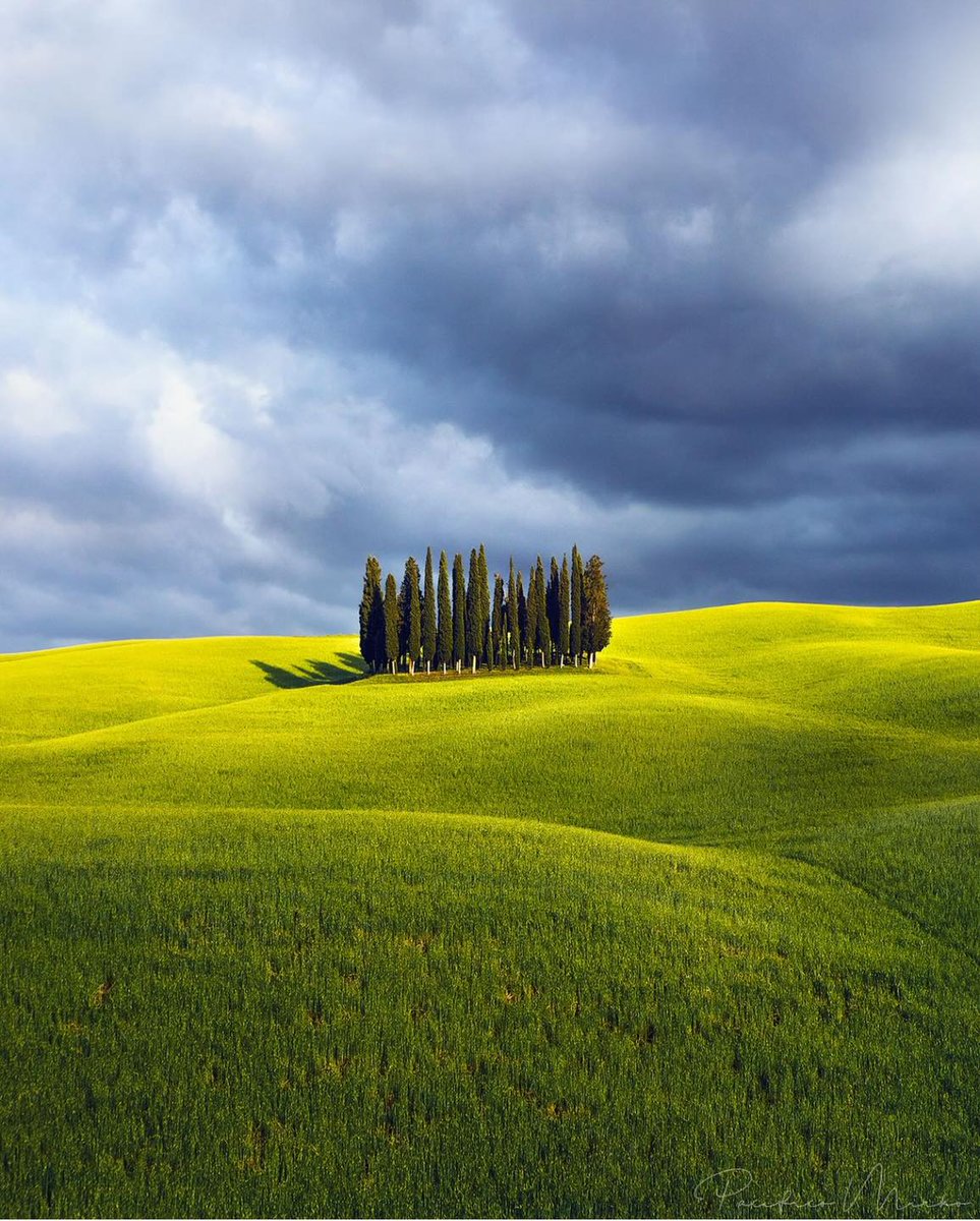 ©Mirko Pacifico, Tuscany