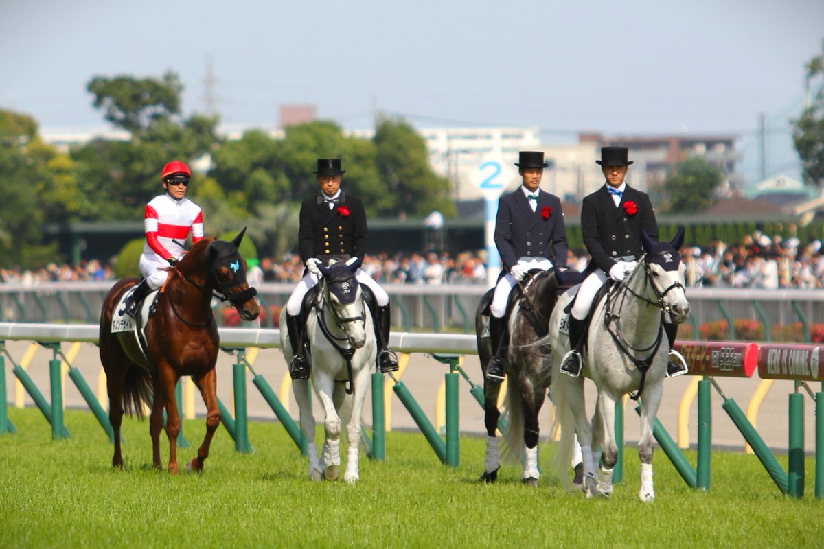 日本ダービー
たった1頭、新馬のように誘導馬にきちんとついていくダノンデサイル