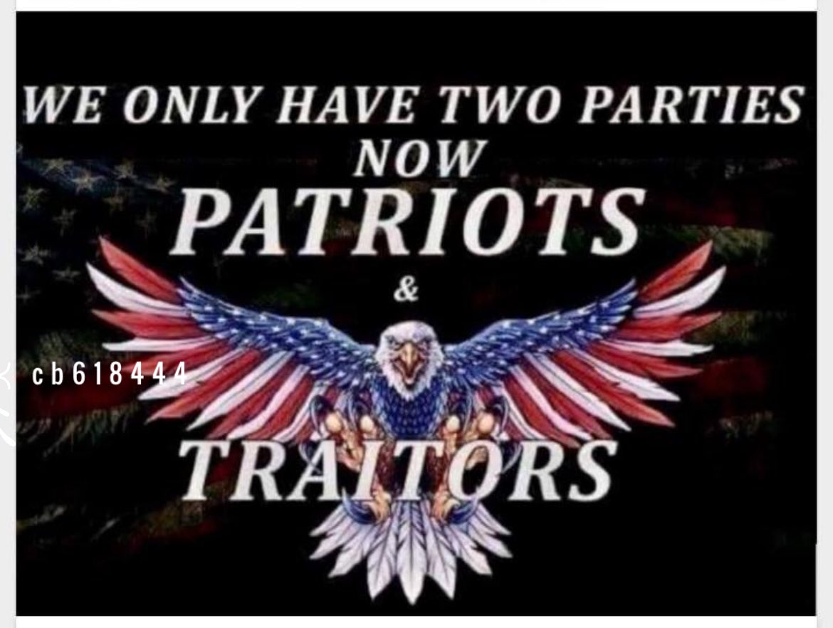 🇺🇸 Team Patriot 💯 % 🇺🇸 Grateful for those of you that are too. America First 🇺🇸🇺🇸🇺🇸