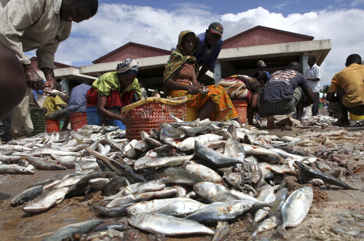 The Global South #cities getting to grips with #methane pollution from #organicwaste. Mark Hillsdon reports. @c40cities @ZoeLenkiewicz @shibuknair @GAIAAsiaPacific #wastemanagement #zerowaste #municipalwaste @tslavinm @LiamDowd10 @REvents_SustBiz reuters.com/sustainability…