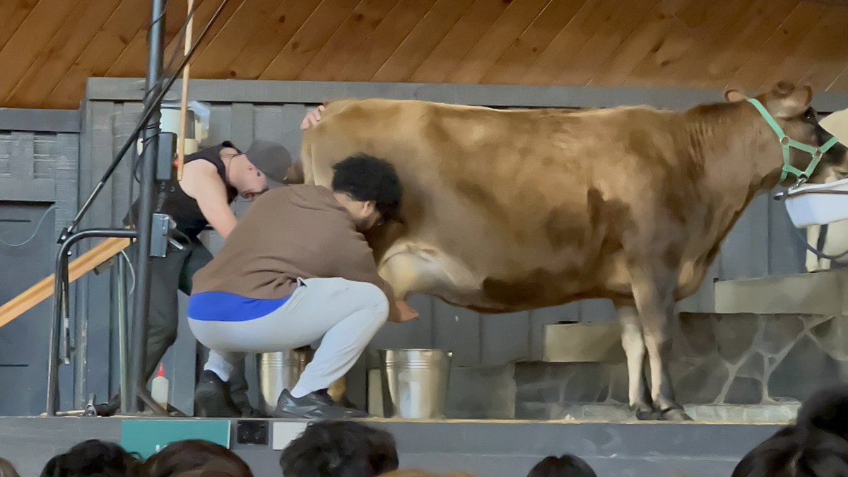 Then ….we learned about jade, took a gondola 🚠 up a mountain, rode a ‘duck’, visited the agrodome, &amp; ended the night w/ dinner &amp; a show in a Maori village.