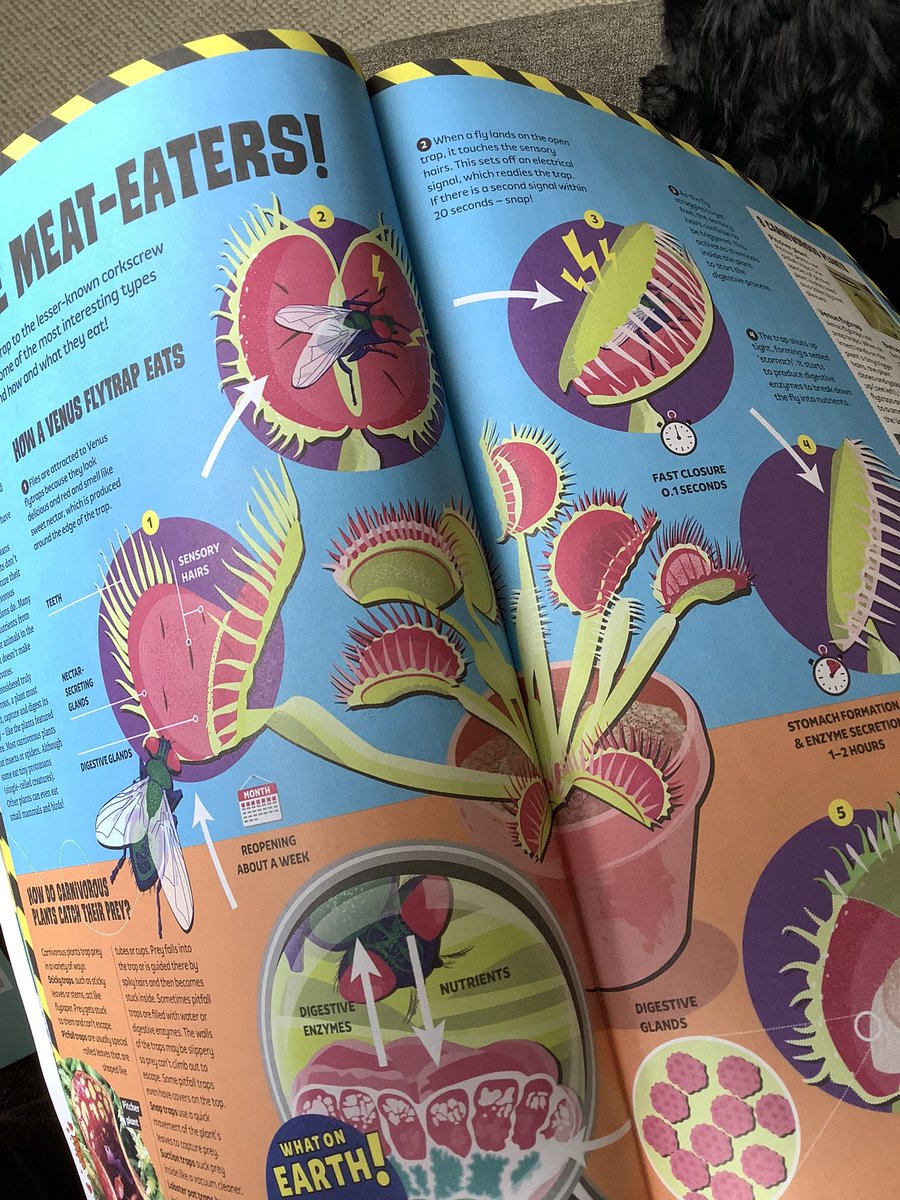 Today is a brilliant day to have off! My next edition of What On Earth Magazine has arrived and I am planning to devour it this afternoon- just like the plants on the front cover! @whatonearthbook @BritannicaBooks @LauraSmythePR