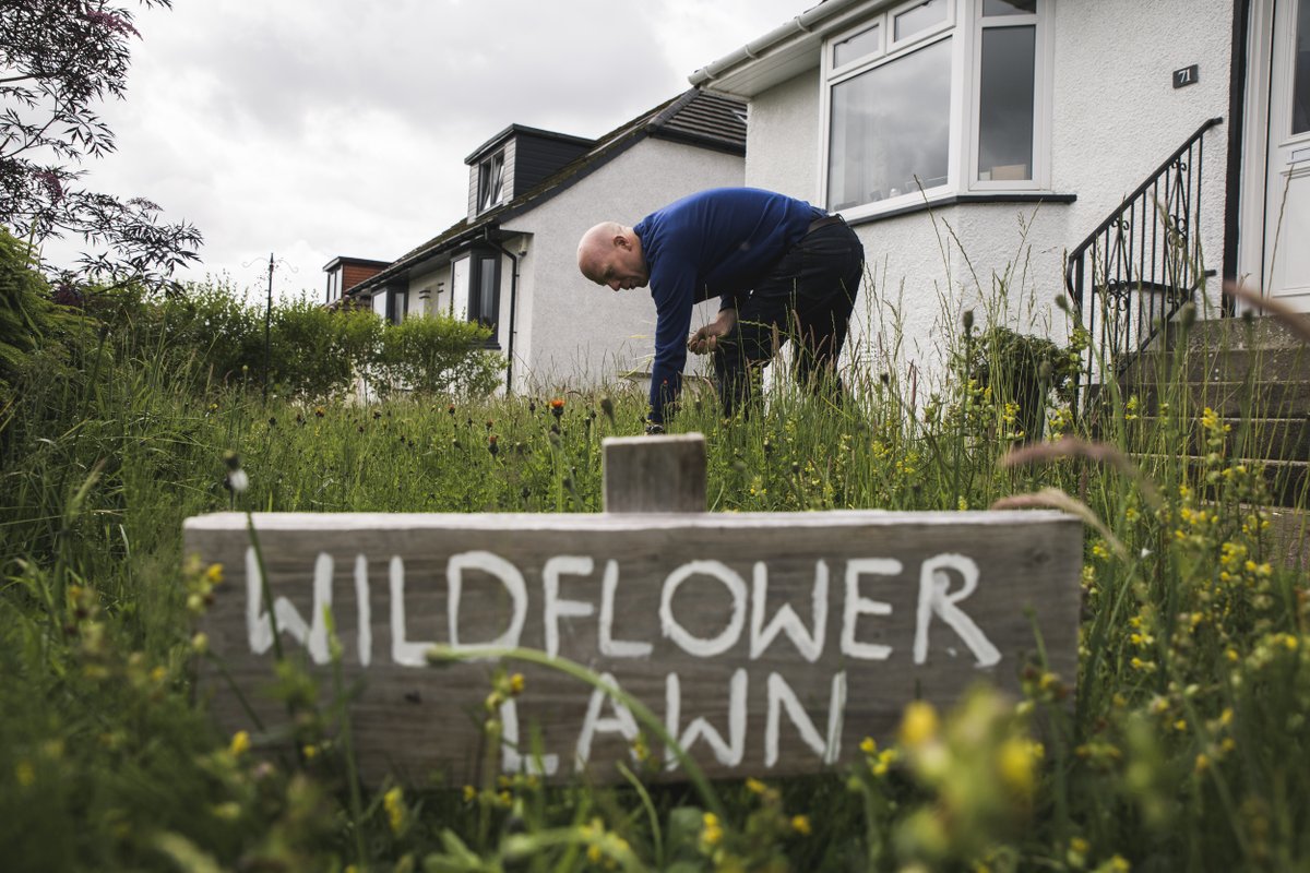 How's your lawn looking on the final day of #NoMowMay? Spotted any new wildlife moving in? Don't feel you need to rush out with the mower now that May is over - @PlantlifeScot have some great tips on how to make your lawn better for nature all summer long! 📷 Doug Shapley