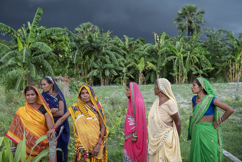 .@CGIARgender researchers studied a project that gave more than 25,000 Indian women access to the ‘one-acre model’, designed to give women the right to grow crops using efficient agricultural technologies. Read what they found: on.cgiar.org/3KoMPpa #GenderinAg @CGIAR