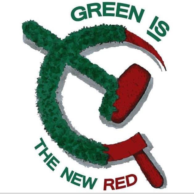 @PatUnleashed @keithmalinak #PatHeads
'Green' new deal...
#PutThatInYourPipe