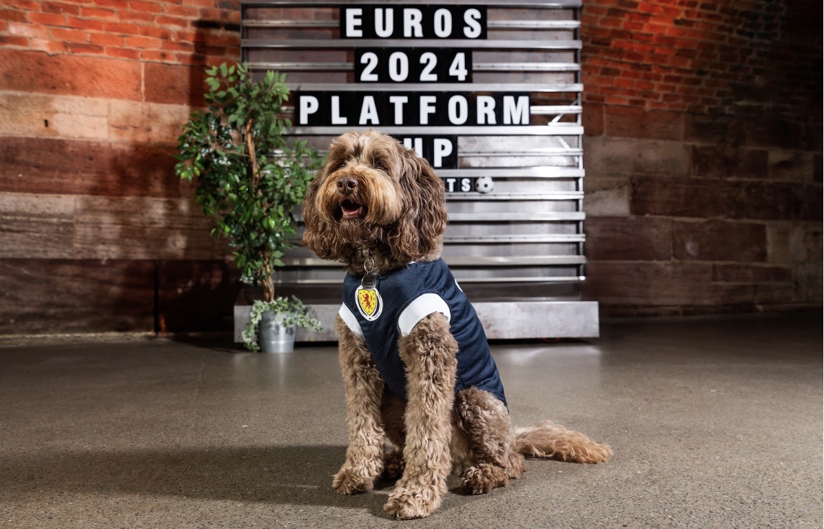 #PLATFORM gets ready for Euro's with #Fanzone and match predictions from a dog dramscotland.co.uk/2024/05/30/pla… #Euros #PlatformPredicts