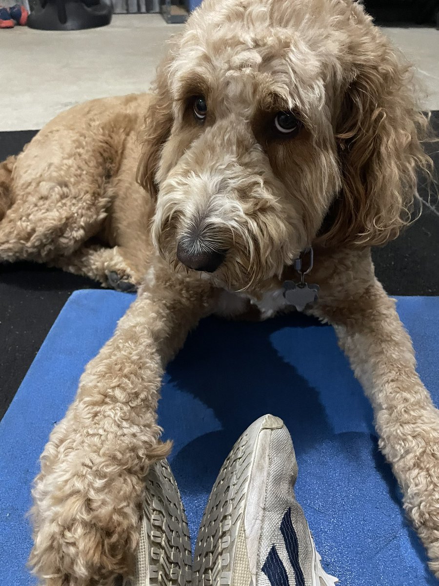 Amber Freeman tweet media