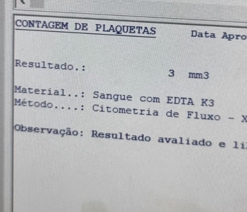 paulacetamal's tweet photo. um bom dia a todos e todas https://t.co/RWyPrhNP96