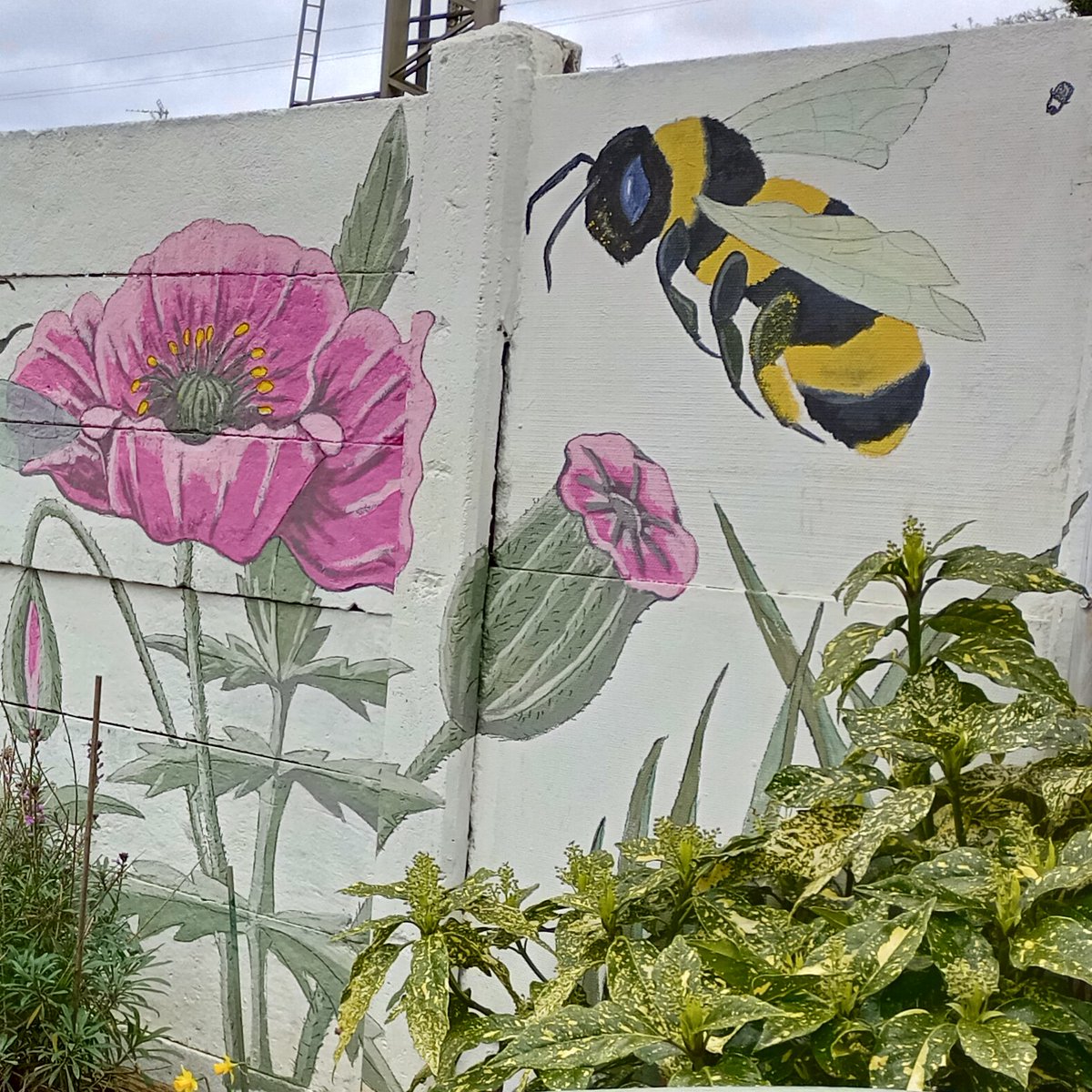 WaitingRoomAlty's tweet photo. Love the honeybee🐝
@a4theengineshed
#artwork #wildflowers #bees #honey #honeybee #beefriendly #cafe #café #garden #altrincham #cheshire #waitingroom #breakfasts #vegan #vegetarian #glutenfree #lunches #brunches #snacks #toasties #ices #trains #bicycles #walkers #dogs #children https://t.co/kshRpScd6s
