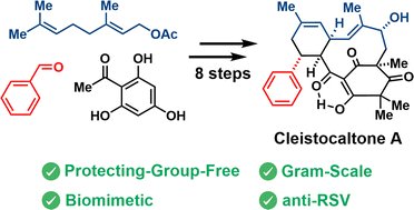 Mathias Christmann (@christmanngroup) on Twitter photo Our #synthesis of the #RSV inhibitor Cleistocaltone A, previously <a href="/ChemRxiv/">ChemRxiv</a>, has found a new home <a href="/ChemicalScience/">Chemical Science</a>. Thanks, Lorenz Wiese <a href="/fubcp/">Department Biology, Chemistry, Pharmacy FU Berlin</a> <a href="/FU_Berlin/">Freie Universität</a> and Martin Ludlow of #TiHo #Hannover #naturalproducts #totalsynthesis #antivirals
doi.org/10.1039/d4sc01… Our #synthesis of the #RSV inhibitor Cleistocaltone A, previously <a href="/ChemRxiv/">ChemRxiv</a>, has found a new home <a href="/ChemicalScience/">Chemical Science</a>. Thanks, Lorenz Wiese <a href="/fubcp/">Department Biology, Chemistry, Pharmacy FU Berlin</a> <a href="/FU_Berlin/">Freie Universität</a> and Martin Ludlow of #TiHo #Hannover #naturalproducts #totalsynthesis #antivirals
doi.org/10.1039/d4sc01…