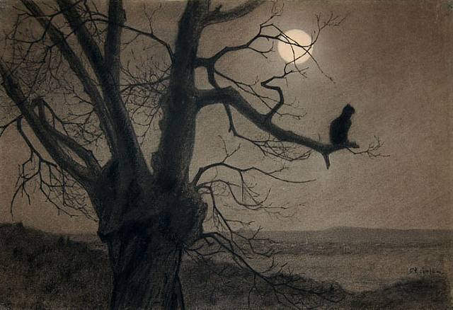 Cat in the moonlight, Theophile Steinlen