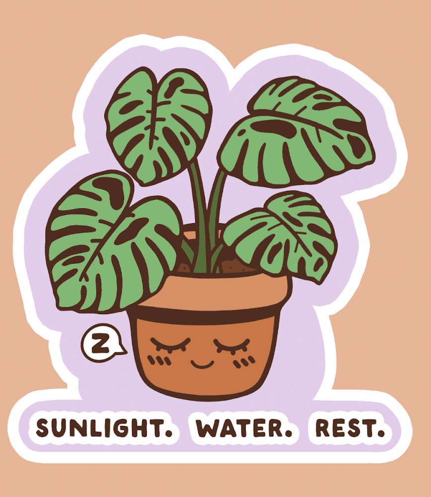 Wells Thompson tweet media